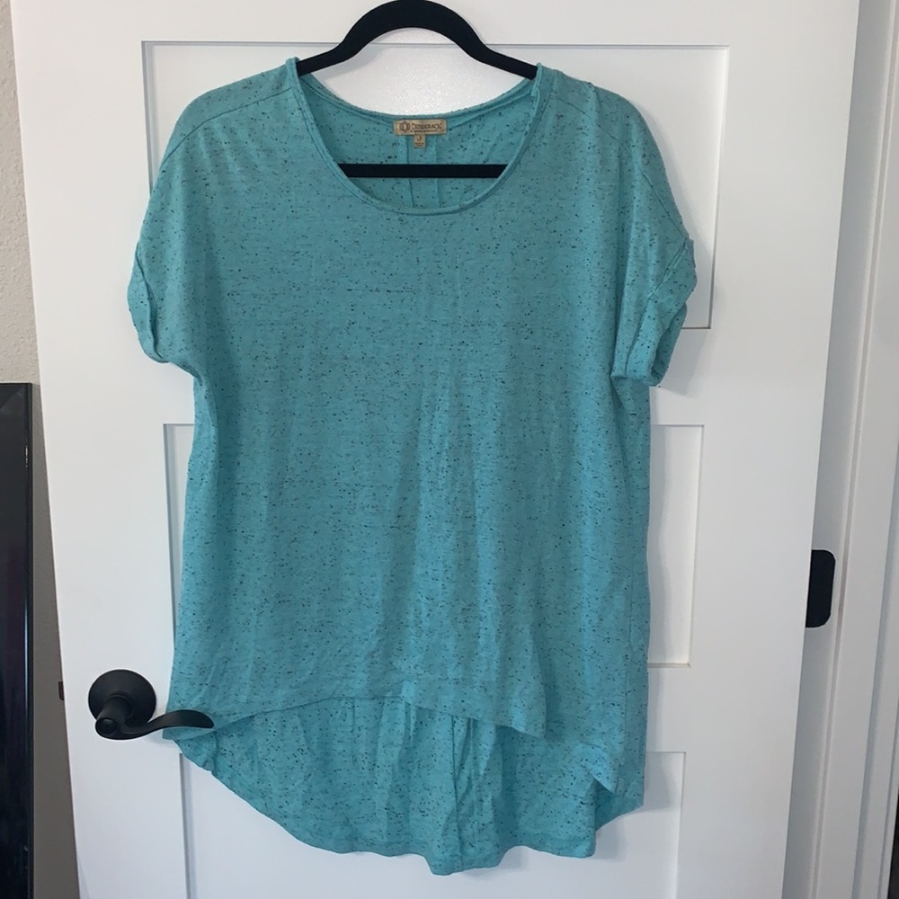 Democracy T-Shirt Small Heather Blue